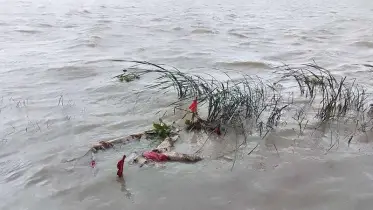 বরিশালে ভেসে আসল ভারতীয় নারীর লাশ