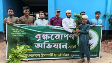  জলবায়ু সংকট মোকাবেলায় বৃক্ষরোপণের বিকল্প নেই