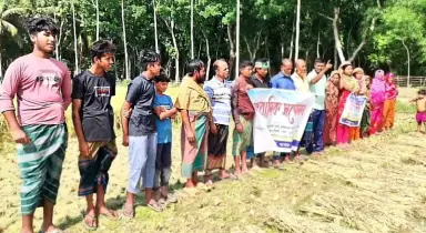 বিএনপি পরিচয়ে ২০ চাষীর ধান লুটে নিলো দুর্বৃত্তরা