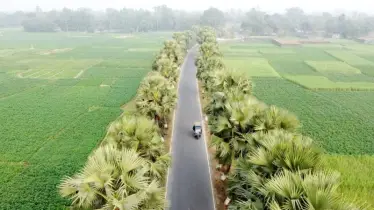 বাগমারা: রাজশাহীর ইতিহাসবহুল এক জনপদের ঐতিহ্য ও পরিবর্তনের গল্প