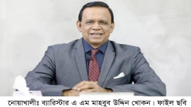নির্বাচন দেওয়া সরকারের ফরজ কাজ: মাহবুব উদ্দিন খোকন