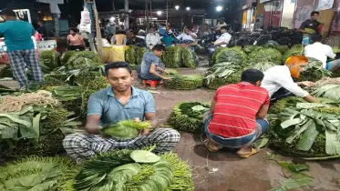 সন্ধ্যা হলেই জমে ওঠে কোটি টাকার পানের হাট