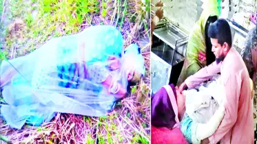 হাত-পা বাঁধা পলিথিনে মোড়ানো ছিল এসিডদগ্ধ নারী