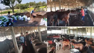 কর্পোরেট চাকরি ছেড়ে সফল কৃষি উদ্যোক্তা সৈয়দপুরের হামিদার রহমান বাবু