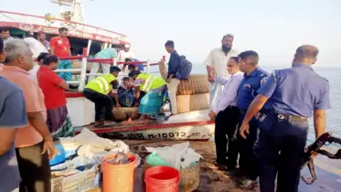 অভয়াশ্রম ও জাটকা রক্ষা অভিযানে ৩০০ কেজি জাটকা ইলিশ জব্দ
