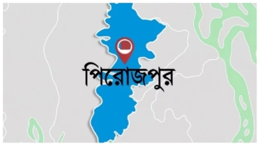 ভান্ডারিয়ায় মৌচাষে সাফল্যের গল্প, তিল ফুলে সোনালি স্বপ্ন দেখছেন কৃষকরা