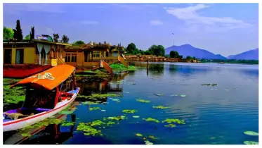 কাশ্মীর এখনও স্বপ্ন দেখে