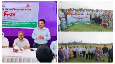 বাকৃবিতে ধানে আর্সেনিক হ্রাসকরণ প্রযুক্তির মাঠ দিবস অনুষ্ঠিত