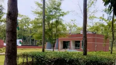 সীমান্তে নারী- পুরুষ ও শিশুসহ ১৫ জনকে আটক করেছে বিজিবি