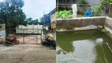 চালকল হাউজে মাছ চাষ, পেয়েছেন চাল বরাদ্দও