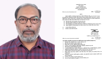 বরিশাল বিশ্ববিদ্যালয়ের অন্তর্বর্তী উপাচার্য অধ্যাপক তৌফিক আলম