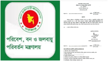 ইউক্যালিপটাস ও আকাশমনি গাছের চারা রোপণ, উত্তোলন ও বিক্রয়ে নিষেধাজ্ঞা