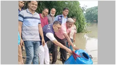 অর্ধকোটি টাকার অবৈধ চিংড়ি রেণু জব্দ, নদীতে অবমুক্ত