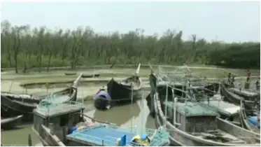 সহায়তা না পেয়ে দুর্দিনে হাতিয়ার জেলেরা, আশ্বাস দিলেন মৎস্য কর্মকর্তা