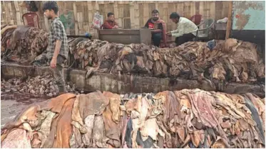 কোরবানির পশুর চামড়ার দাম নির্ধারণ, ১২ ঘণ্টার মধ্যে বর্জ্য অপসারণের আশ্বাস