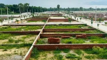 ২টি কাজ করলেই যৌথ সম্পত্তি নিয়ে হবে না পরিবারিক বিবাদ, আইনজীবীর পরামর্শ