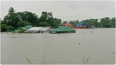 ১১ জেলায় বন্যার শঙ্কায় সতর্কতা জারি