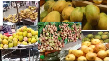 অপরিপক্ব ফলে সয়লাব বাজার, বাড়ছে স্বাস্থ্য ঝুঁকি