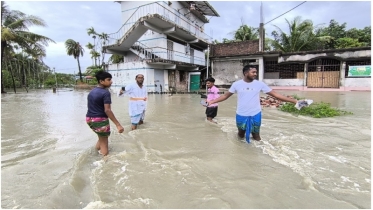 নোয়াখালীতে ডুবে গেছে ঘরবাড়ি, মাছের ঘের ও ফসল