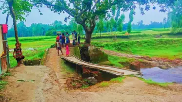 কুড়িগ্রামে ১৫ বছরে সেতু উন্নয়নে দুরবস্থা: কথার মধ্যেই রয়ে গেছে প্রতিশ্রুতি