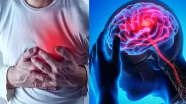 মানসিক চাপ হতে পারে উপকারীও! কতটা বেশি হওয়া ক্ষতিকর? কীভাবে করবেন নিয়ন্ত্রণ?