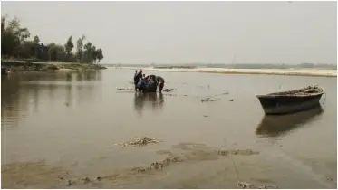 তিস্তায় নতুন পানি হলেও নেই মাছ, রিং জালের প্রভাবে বিপন্ন বৈরালি