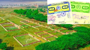 খতিয়ান আছে, জমি দখলেও আছে, কিন্তু নামজারি হচ্ছে না, কারণ ও সমাধান জানালেন আইনজীবী