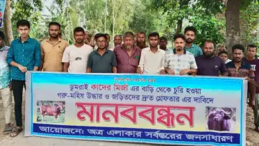 রায়গঞ্জে চুরি যাওয়া গরু-মহিষ উদ্ধারের দাবিতে মানববন্ধন
