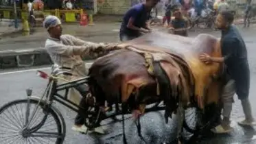 চামড়ার প্রকৃত মূল্য না পাওয়ায় হতাশ মাদ্রাসা ও সংগ্রাহকেরা