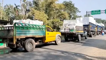 আখাউড়া স্থলবন্দর দিয়ে ২৭৬ কোটি টাকার মাছ রপ্তানি