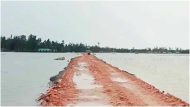 দীর্ঘ ১৫ বছরেও সংস্কার হয়নি পেকুয়ার রাজাখালী দরবার সড়ক