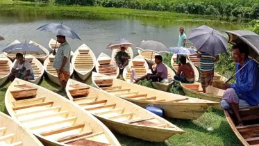ইছামতীর তীরে শতবর্ষী কোষা নৌকার হাট, নেই আগের মতো ক্রেতার ভিড়