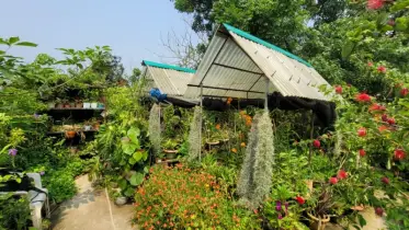 গাছেই জীবন, গাছেই ভালোবাসা: যেন এক উদ্ভিদবিদের স্বর্গরাজ্য!