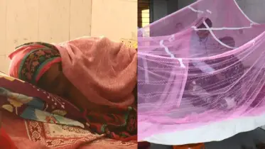 মাদারীপুরে ডেঙ্গুর দাপট, সঙ্গে বাড়ছে করোনা আক্রান্তের সংখ্যাও