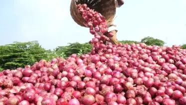 বিশ্বের সর্বোচ্চ পেঁয়াজ উৎপাদক দেশ কোনটি?