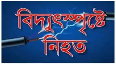 ডিমলায় বিদ্যুৎস্পৃষ্ট হয়ে কিশোরের মৃত্যু, এলাকাজুড়ে শোক