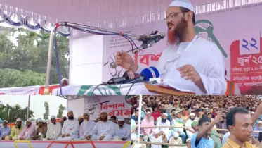 বিএনপি-আওয়ামী লীগ একই গাছের দুটি ডাল: মুফতি ফয়জুল করিম