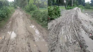 ৫ দশকেও পাকা হয়নি রাস্তা: শার্শার মাটিপুকুরিয়া আজও উন্নয়ন বঞ্চিত!