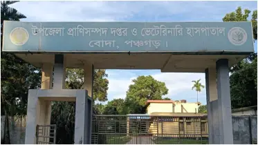 ভুয়া পশু ডাক্তারদের দৌরাত্ম থামছে না, লাম্পিতে হু হু করে বাড়ছে গরু মৃত্যুর সংখ্যা 