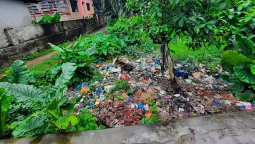 গলাচিপায় রাস্তার পাশে ময়লার স্তূপে মহামারী ডেঙ্গু, ভোগান্তিতে এলাকাবাসী