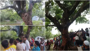 কড়াই গাছে জ্বলছে আগুন, নেভানোর চেষ্টায় ব্যর্থ ফায়ার সার্ভিসও