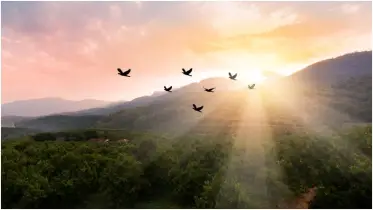 রিযিক নিয়ে কিছু কথা 