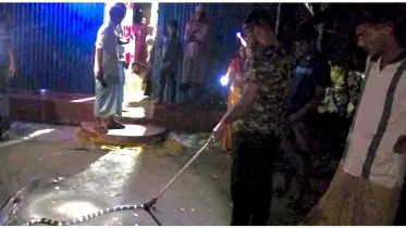 শোবার ঘরে বিষধর  শঙ্খিনী, অতঃপর উদ্ধার 