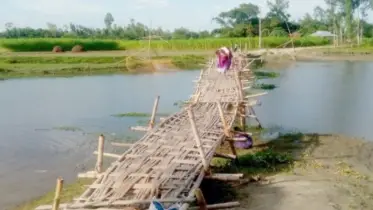 গাইবান্ধায় ৪০ বছরেও নির্মাণ হয়নি ব্রিজ, চরম দুর্ভোগে চরবাসী
