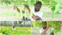 উলিপুরে কদোয়া চাষে স্বাবলম্বী হওয়ার স্বপ্ন দেখছেন কৃষকেরা