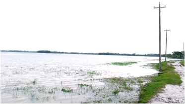 রাঙ্গাবালীতে টানা বর্ষণে জনজীবন বিপর্যস্ত, চাষাবাদে ব্যাহত আমন ধান