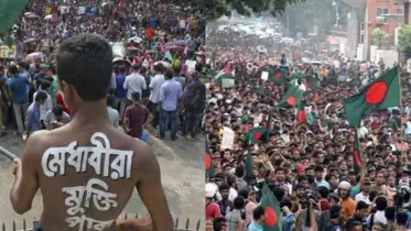 জুলাইয়ের দিনগুলো: ১৫ জুলাই