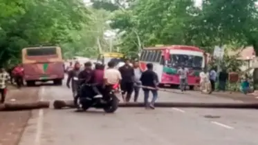 কাশিয়ানীতে মহাসড়কে গাছ ফেলে অবরোধ, যান চলাচল বন্ধ
