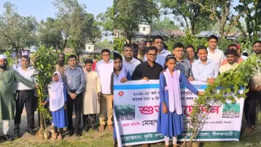 শিক্ষার্থীদের হাতে গাছের চারা, স্বপ্নে সবুজ বাংলাদেশ