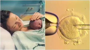 ৩ জনের জিনের মাধ্যমে ৮ শিশুর জন্ম, যেভাবে কাজ করে এই IVF পদ্ধতি